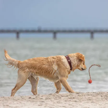 Διαμέρισμα Kuestenbrise - Charmante In Strandnaehe *