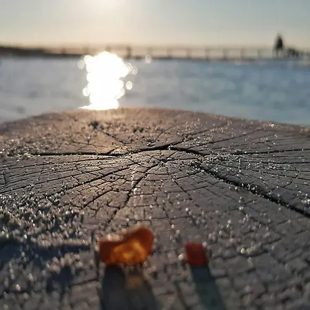 Kuestenbrise - Charmante In Strandnaehe * Zingst